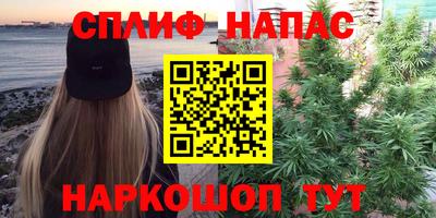 стафф Тверь