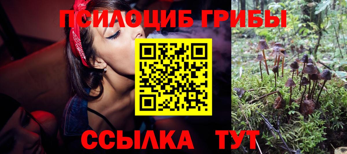 Псилоцибиновые грибы Magic Shrooms  Вход с VPN  Отрадное  Галлюциногенные грибы мицелий 
